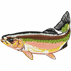 Fishes Embroidery Design 2 Fishes Embroidery Design 2